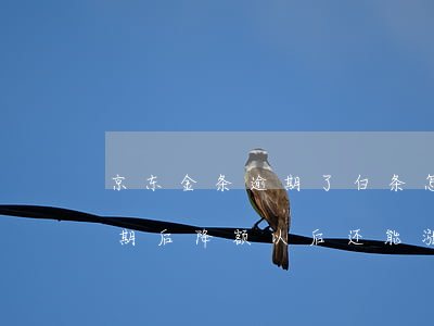 京东金条逾期了白条怎么降额了(京东白条逾期后降额以后还能涨额度不)