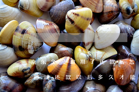 京东金条逾期了还款后怎么恢复(京东金条逾期过还款以后多久才能再借了)