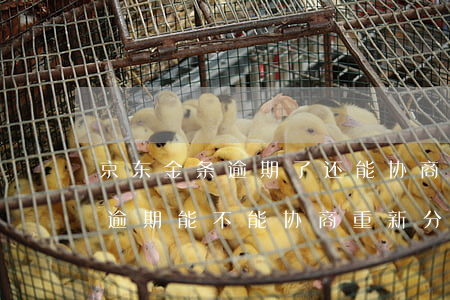 京东金条逾期了还能协商分期还吗 京东金条逾期能不能协商重新分期还款