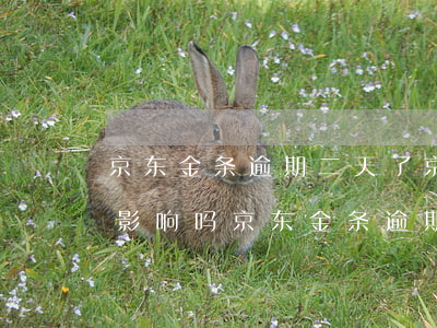 京东金条逾期二天了(京东金条逾期2天会有影响吗?京东金条逾期攻略!)