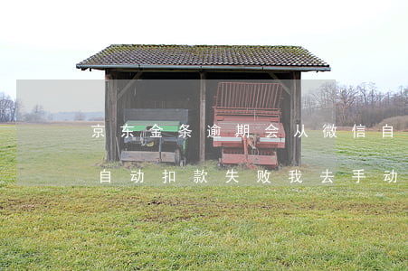 京东金条逾期会从微信自动扣款吗(京东金条自动扣款失败我去手动还款有影响吗)