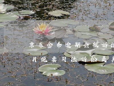 京东金条逾期会被诉讼吗(京东金条逾期一个月说要司法诉讼是真的吗)