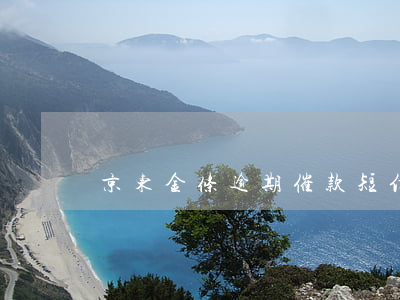 京东金条逾期催款短信(京东金条发信息催还)