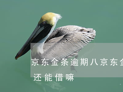 京东金条逾期八 京东金条逾期八天还了以后还能借嘛