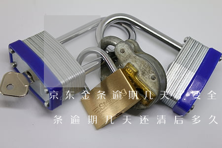 京东金条逾期几天了要全额还款吗-京东金条逾期几天还清后多久可以借钱