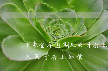 京东金条逾期几天才会上征信(京东金条逾期几天才会上征信)