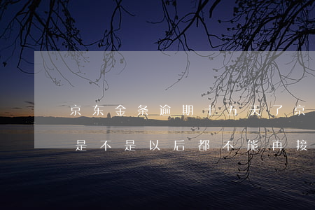 京东金条逾期十五天了(京东金条逾期15天是不是以后都不能再接了)