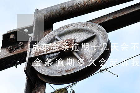 京东金条逾期十几天会不会收到起诉单（京东金条逾期多久会起诉我）