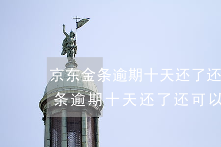 京东金条逾期十天还了还可以用吗-京东金条逾期十天还了还可以用吗安全吗