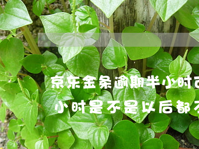京东金条逾期半小时可以吗 京东金条逾期半小时是不是以后都不能再接了