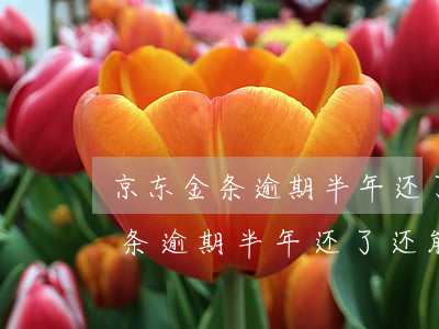 京东金条逾期半年还了还能再用吗-京东金条逾期半年还了还能再用吗安全吗