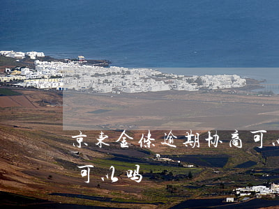 京东金条逾期协商可以吗(京东金条逾期协商可以吗)