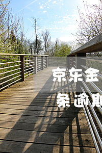 京东金条逾期协商还款电话是多少-京东金条逾期协商还款电话是多少号