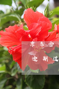 京东金条逾期可以商量多久还款-京东金条逾期过还款以后多久才能再借了