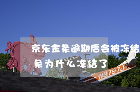 京东金条逾期后会被冻结银行卡吗-京东金条为什么冻结了