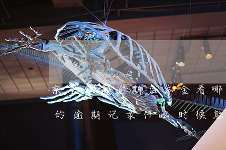 京东金条逾期后本金看哪里能看到 京东金条的逾期记录什么时候能消除