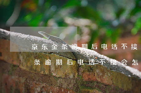 京东金条逾期后电话不接会怎么样-京东金条逾期后电话不接会怎么样吗