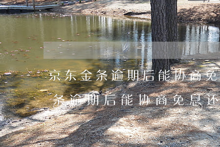 京东金条逾期后能协商免息还款吗-京东金条逾期后能协商免息还款吗