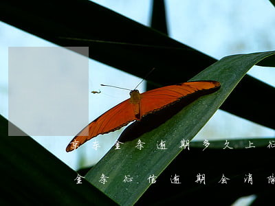 京东金条逾期多久上征信 后果有多严重（京东金条征信逾期会消除吗）