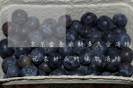 京东金条逾期多久会消除-京东金条的逾期记录什么时候能消除