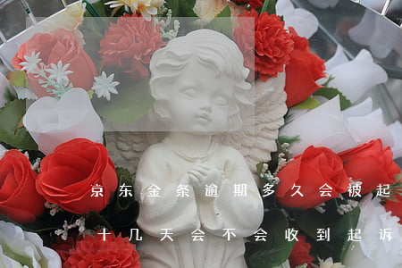 京东金条逾期多久会被起诉涵(京东金条逾期十几天会不会收到起诉单)
