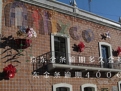 京东金条逾期多久会被起诉,真的会上门吗?（京东金条逾期4000会上门吗）