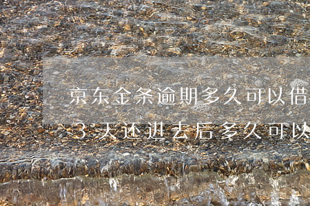 京东金条逾期多久可以借到钱(京东金条逾期3天还进去后,多久可以再借)