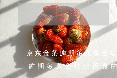 京东金条逾期多久是会被起诉呢-京东金条逾期多久会被起诉,真的会上门吗?