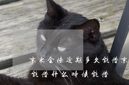 京东金条逾期多久能借(京东金条逾期两天不能借什么时候能借)