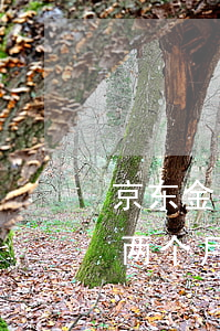 京东金条逾期多少金额会上门(京东金条逾期两个月了说要上门是真的吗?)
