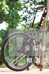 京东金条逾期多长时间上黑名单(京东金条逾期多久才会被列入失信人黑名单)