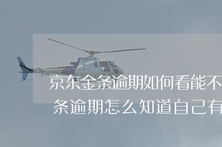 京东金条逾期如何看能不能坐高铁-京东金条逾期怎么知道自己有没有上征信