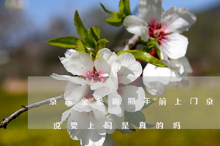 京东金条逾期年前上门 京东金条逾期半个月说要上门是真的吗?