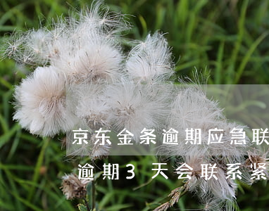 京东金条逾期应急联系人有影响吗(京东金条逾期3天会联系紧急联系人吗)