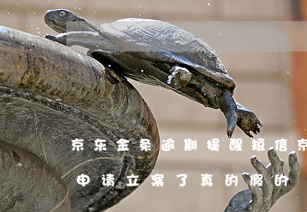 京东金条逾期提醒短信(京东金条逾期发短信申请立案了真的假的)