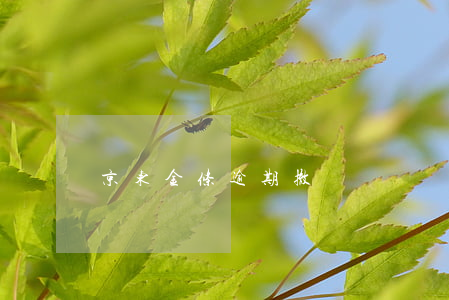 京东金条逾期撤