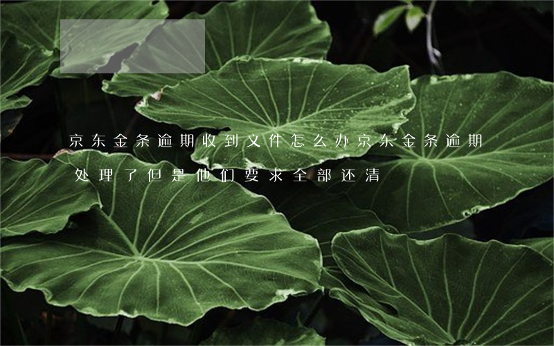 京东金条逾期收到文件怎么办(京东金条逾期处理了但是他们要求全部还清)