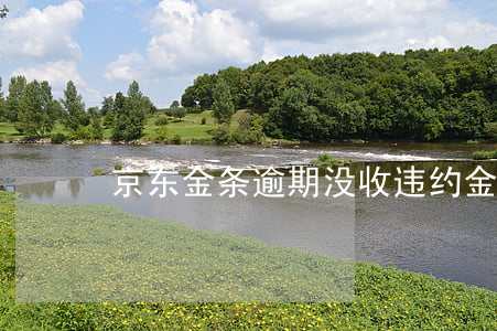 京东金条逾期没收违约金