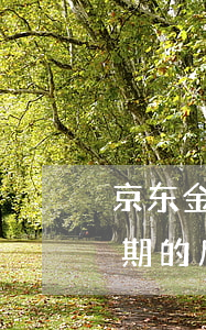 京东金条逾期的后果2021年(京东金条逾期的后果2021年)
