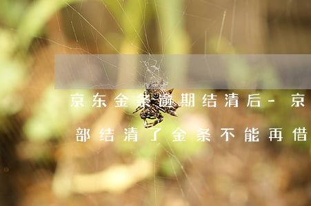 京东金条逾期结清后-京东金条有过逾期,全部结清了金条不能再借