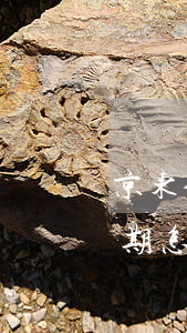 京东金条逾期联系单位核实(京东金条经常逾期怎么办担心被爆通讯录)
