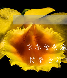京东金条逾期联系村主任(京东金条逾期会给村委会打电话吗?)