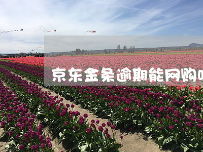 京东金条逾期能网购吗
