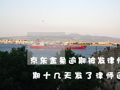 京东金条逾期被发律师函怎么办(京东金条逾期十几天,发了律师函过来让全部还清)