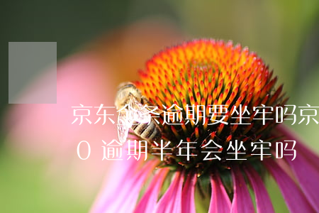 京东金条逾期要坐牢吗(京东金条欠款7000逾期半年会坐牢吗?)