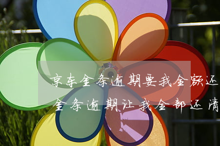 京东金条逾期要我全额还款 不还就立案（京东金条逾期让我全部还清）
