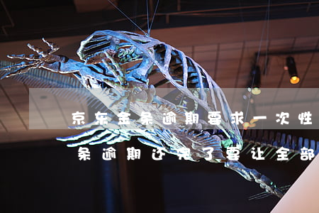 京东金条逾期要求一次性还完(有没有京东金条逾期还完了要让全部还款的)