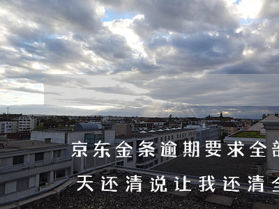 京东金条逾期要求全部还清(京东金条逾期四天还清说让我还清全额)