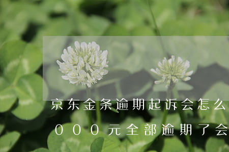 京东金条逾期起诉会怎么样-欠京东金条5000元全部逾期了会被起诉吗?