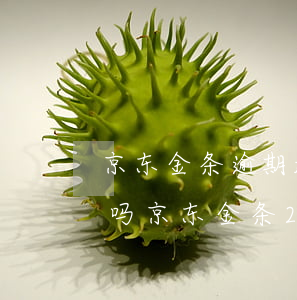 京东金条逾期超过90天我还一部分钱可以吗（京东金条2000块钱逾期一个月）